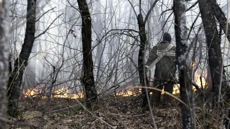 В лесах Воронежской области зафиксировали еще 2 пожара