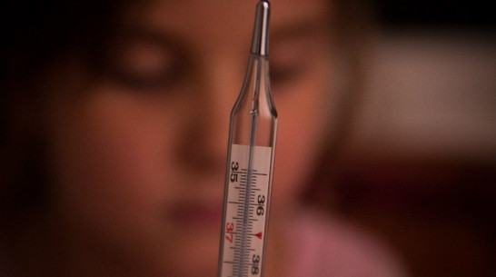 На карантин из-за гриппа закрылись более 1600 школ 