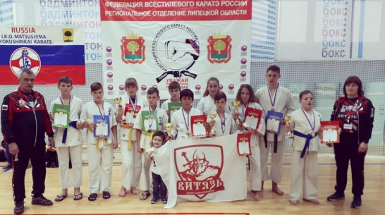 Верхнехавские каратисты завоевали 5 золотых медалей на открытом Кубке Липецкой области