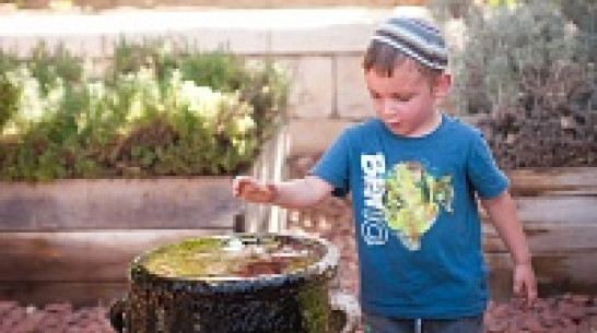 Гранты департамента культуры в Воронеже получат еврейская школа и «Толерантный театр»