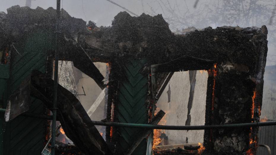 Огонь уничтожил около 20 построек в селе Воронежской области