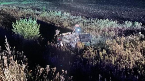 В Воронежской области Mitsubishi вылетел в кювет и перевернулся: двое пострадали