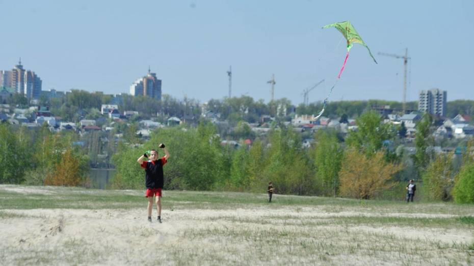 Воронежские школьники запустят в небо самодельных воздушных змеев