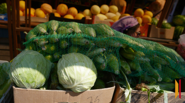 В Воронежской области изъяли более 9 тонн потенциально опасных овощей и фруктов