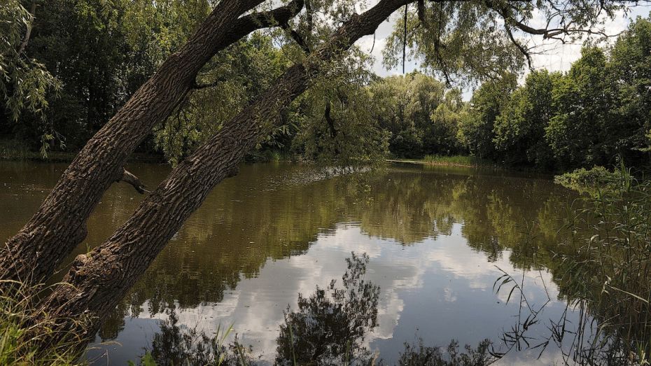 В Воронежской области из реки достали тело 80-летнего мужчины