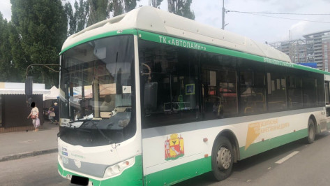 В Воронеже маршрутный автобус сбил 76-летнего пенсионера на пешеходном переходе