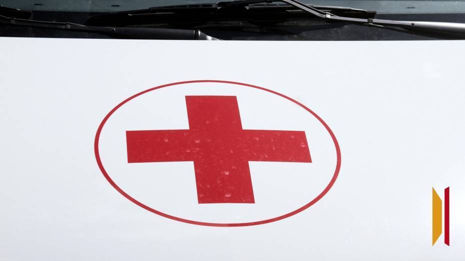 В Воронежской области во время заготовки дров на разнорабочего упало дерево