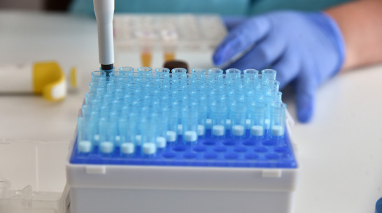 В России выявлен второй случай заражения новым штаммом коронавируса «кракен»