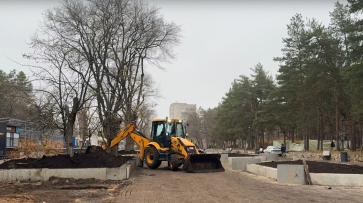 Реконструкцию парка «Танаис» в Воронеже могут завершить в 2027 году