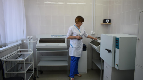 Более 30 новых ФАПов и амбулаторий откроют в Воронежской области за 3 года