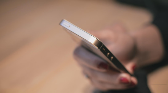 Воронежцы отдали мошенникам 1,2 млрд рублей в 2025 году