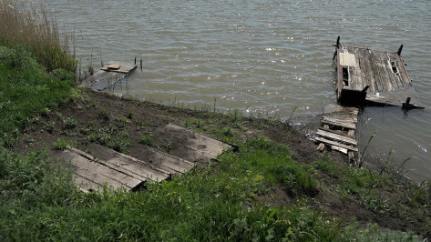 Десятки участков земли на берегу Битюга в Воронежской области попали в частные руки