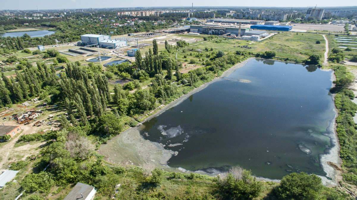 Почему некоторые водоросли используют для очистки загрязненных сточных вод канализации