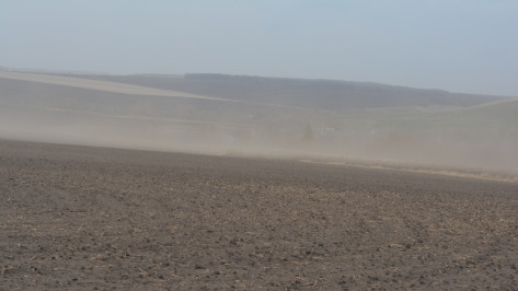 Нижнедевицкий район окутали пыльные бури