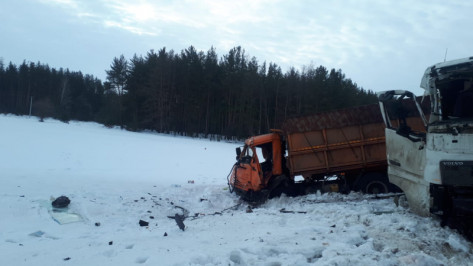 Мужчина погиб в лобовом столкновении 2 грузовиков в Воронежской области