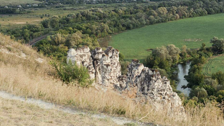 Воронежцы смогут принять участие в конкурсе мини-роликов «Россия: 85 приключений»