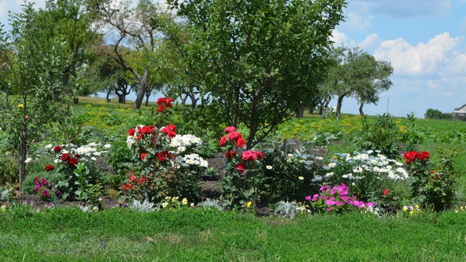 В семилукском селе пройдет районный фестиваль цветов