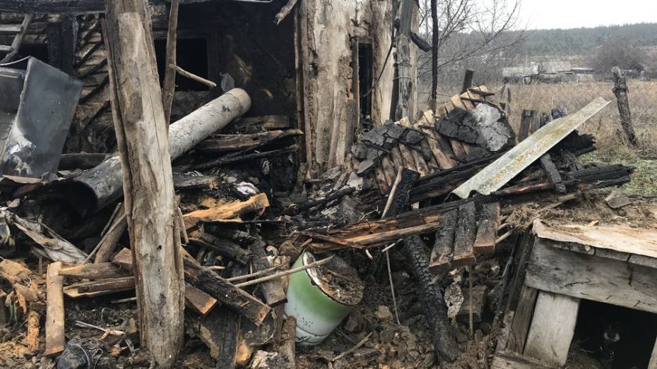 В Воронежской области мужчина, спасая из горящего дома мать, получил серьезные ожоги