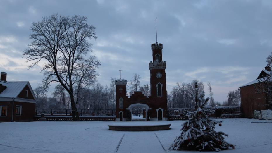 Дворец Ольденбургских под Воронежем закроют для посетителей до февраля