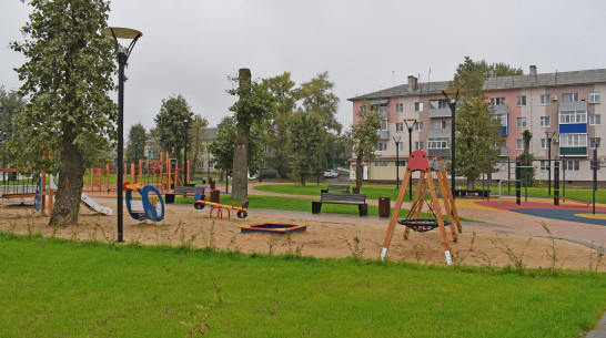 Около 40 тыс жителей Воронежской области приняли участие в выборе объектов для благоустройства