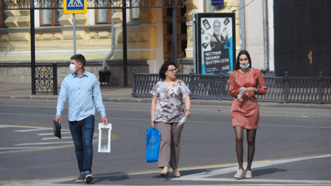 Важные поправки. Кто еще в Воронеже пришел на участок досрочно