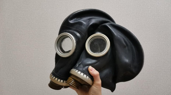 Для воронежских школьников закупят 3,4 тыс противогазов почти на 15 млн