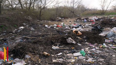 За 11 месяцев 2025 года в Воронежской области выявили 16 незаконных свалок