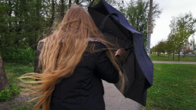 Воронежский гидрометцентр предупредил об усилении ветра до 20 м/с