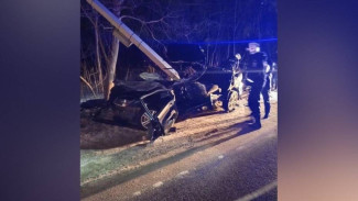 Против пьяного водителя, из-за которого погиб 23-летний воронежец, возбудили уголовное дело