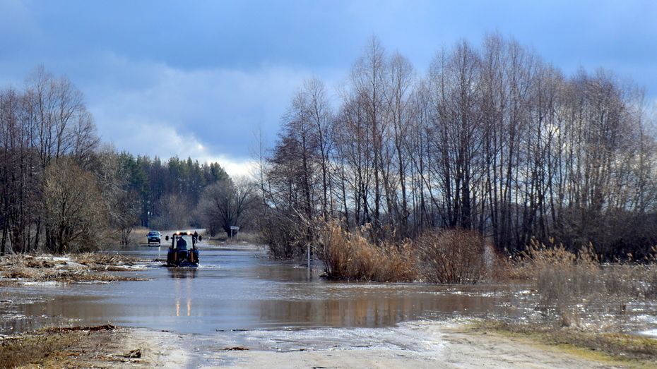 Низководный мост на реке Савала затопило в Терновском районе Воронежской области