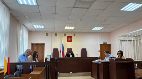 «Кто же тебя так настроил против меня?»: в суде зачитали расшифровку аудиозаписей по делу воронежского адвоката Виктории Стуковой