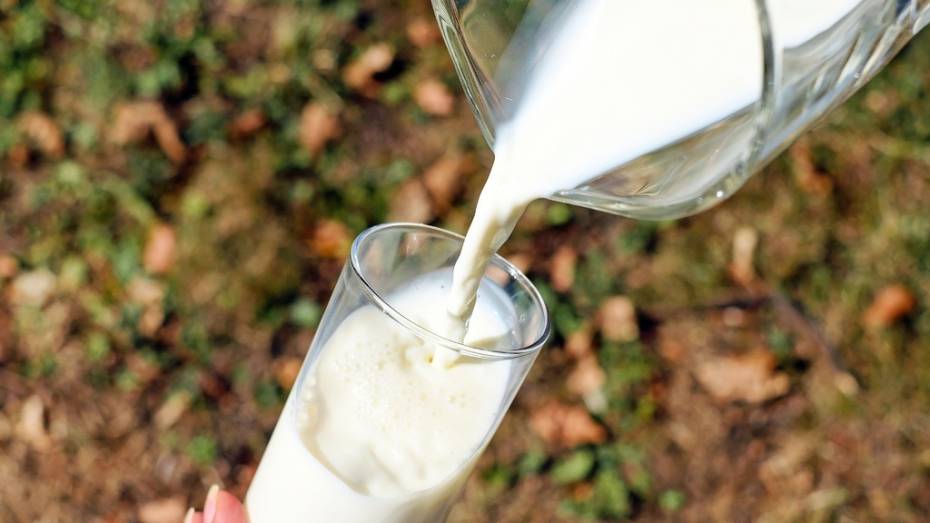 Более 385 тыс тонн молока произвели в Воронежской области с начала года