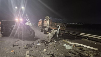 В Воронежской области микроавтобус врезался в КамАЗ: скончалась женщина