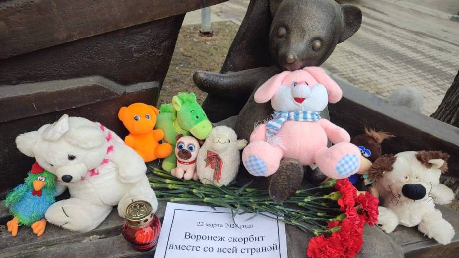 Стихийные мемориалы появились в Воронеже после теракта в «Крокус Сити Холле»