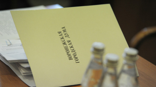 Инвестор увеличил вложения в воронежский завод «Эколайнер» 