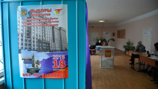 Воронежские единороссы-одномандатники получили абсолютный перевес голосов