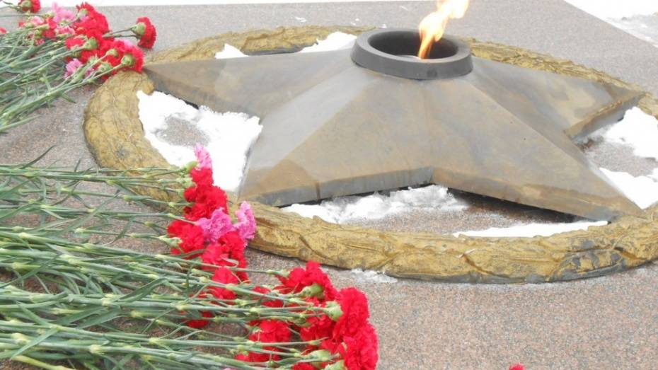 Власти Воронежа запланировали 62 акции ко Дню памяти воинов-интернационалистов 