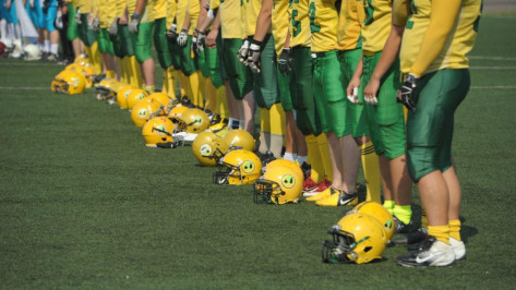 Воронежские «Могучие утки» помогли «Липецким пантерам» победить москвичей