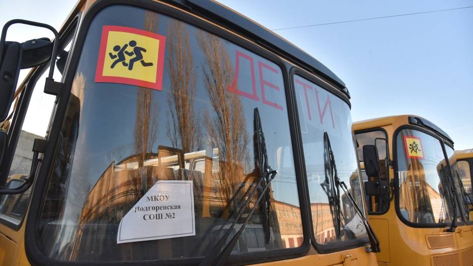 Воронежские школьные автобусы смогут бесплатно ездить по платным дорогам