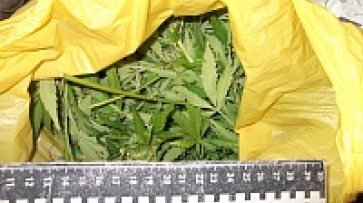 Полицейские нашли марихуану у жителя Верхнемамонского района 