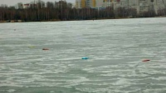 Воронежцы жалуются на флешмоберов за небесные фонарики на водохранилище