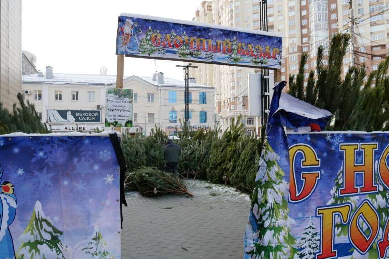 Елочные базары в Воронеже