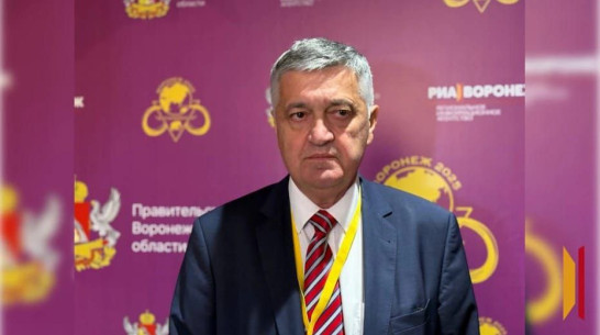 Депутат парламента Венгрии Любомир Алексов встретился с воронежской делегацией в Будапеште