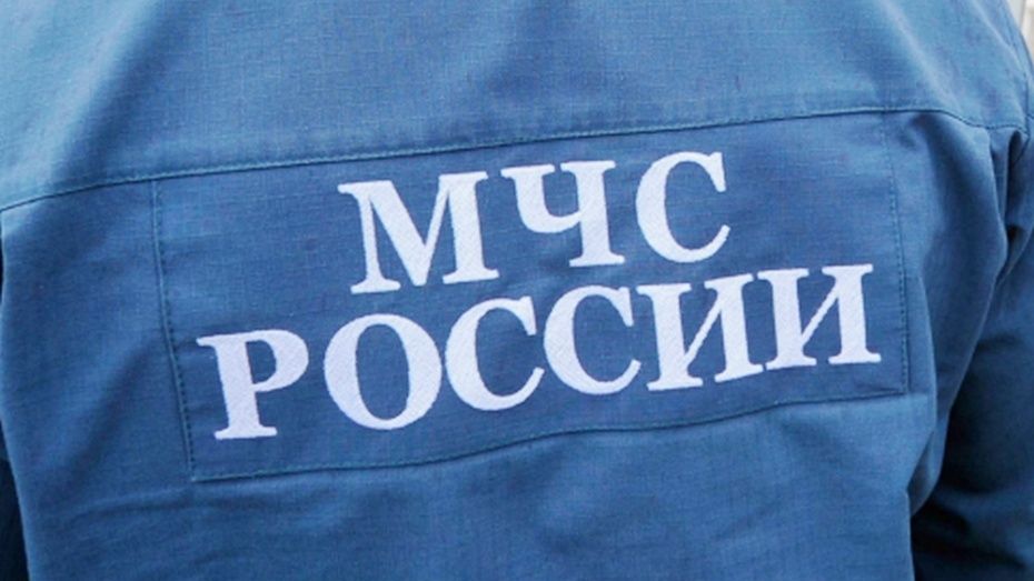 Воронежское ГУ МЧС предупредило о представляющихся пожарными инспекторами мошенниках