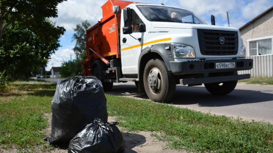 В Острогожском районе вывоз мусора во всех поселениях организуют к сентябрю