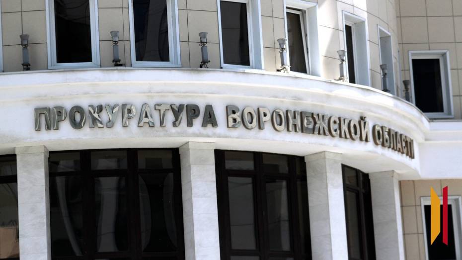 В Воронеже возбудили уголовное дело в отношении мужчины, ударившего девушку скейтбордом по лицу