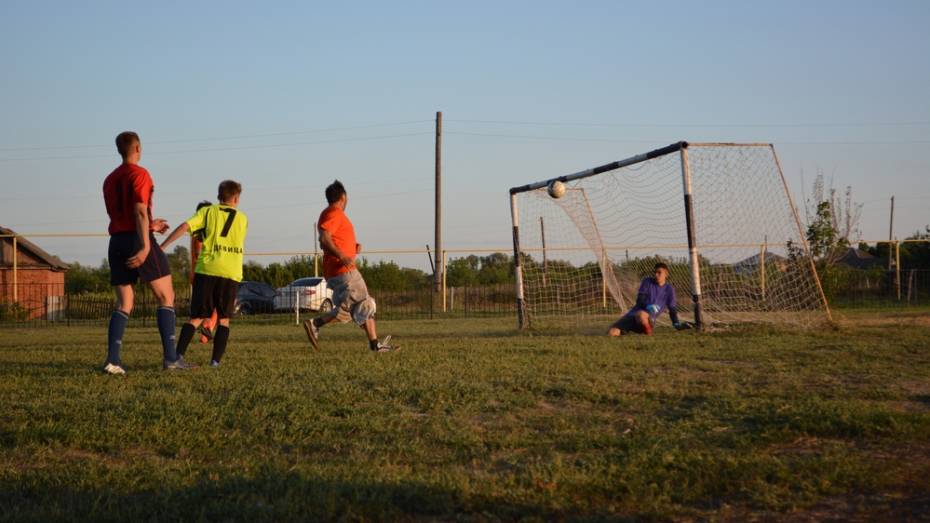 В Острогожском районе общественники оборудовали футбольное поле
