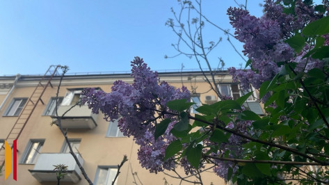 Стало известно, когда после резкого похолодания в Воронеж вернется тепло