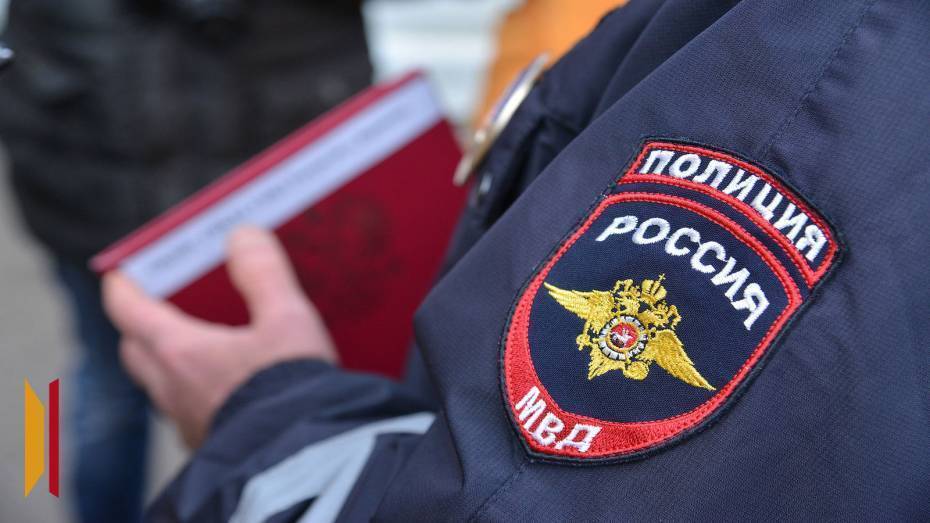 Мошенники запугали ветеринарного врача из Воронежа поддельным кредитным договором и украли у нее 721 тыс рублей