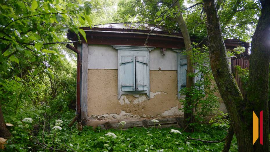 С 1 сентября Росреестр начнет проверки неиспользуемых земельных участков в Воронежской области